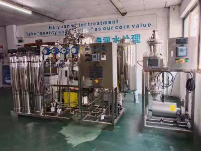 PW জলের জন্য 500LPH ওয়ান পাস RO এবং EDI সিস্টেম
