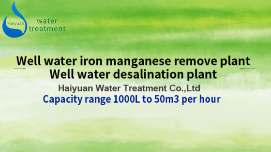 3000L/ঘন্টা আয়রন ম্যাঙ্গানিজ জল ফিল্টার 110V-460V 60HZ কার্বন ইস্পাত উপাদান